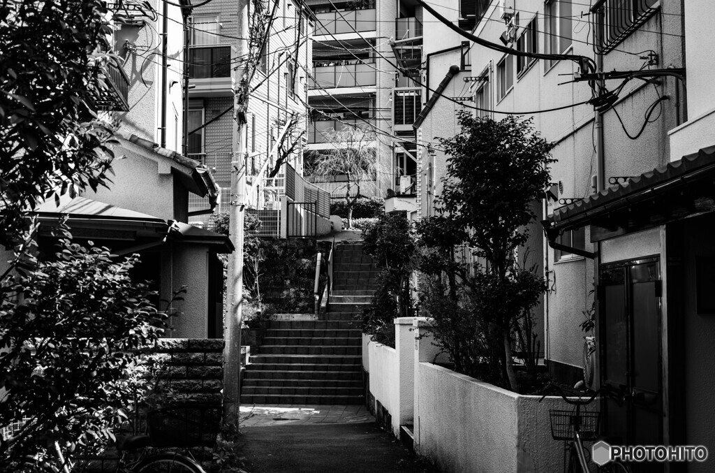 新宿の路地裏8