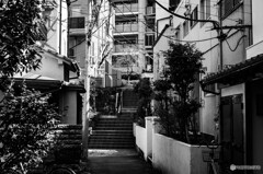 新宿の路地裏8