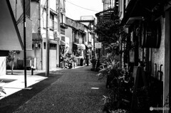 谷根千スナップ21