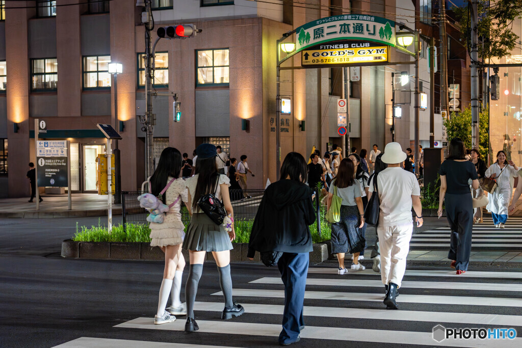 夜の散歩14