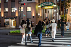 夜の散歩14