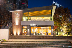 新宿のイルミネーション7