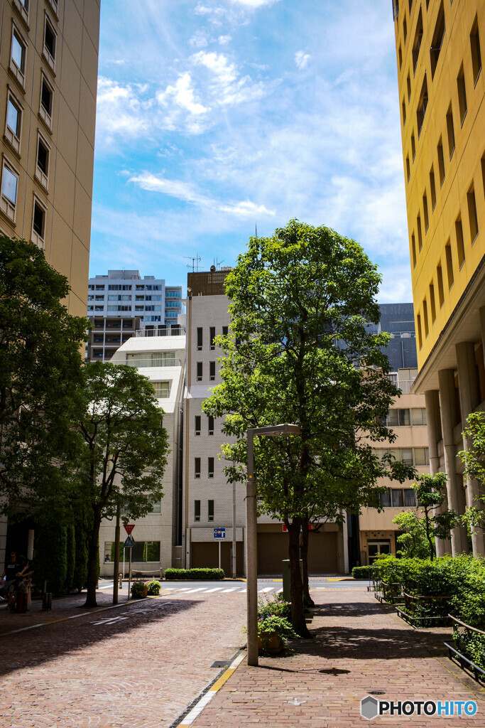 汐留のイタリア街14