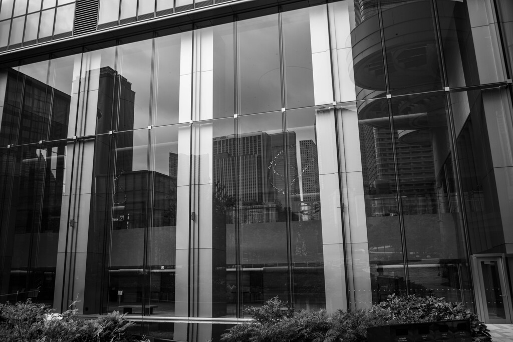 麻布台ヒルズ　スナップ9