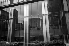 麻布台ヒルズ　スナップ9