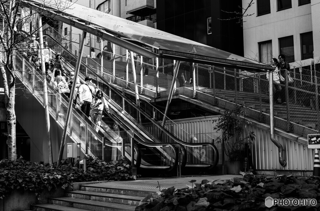 渋谷～原宿スナップ4