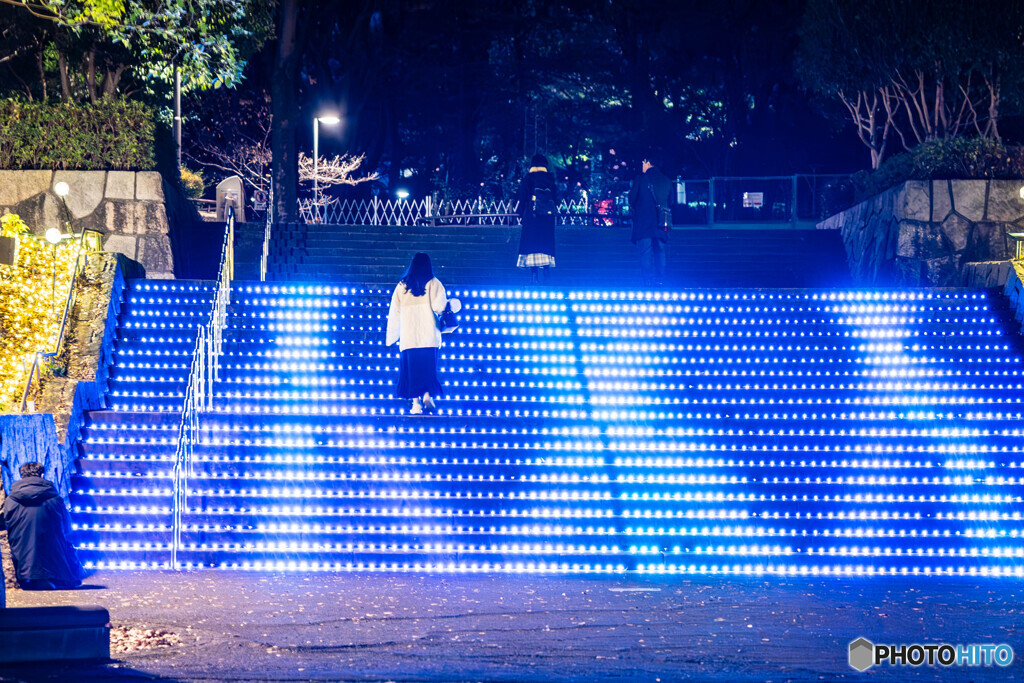 新宿のイルミネーション12