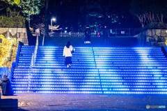 新宿のイルミネーション12