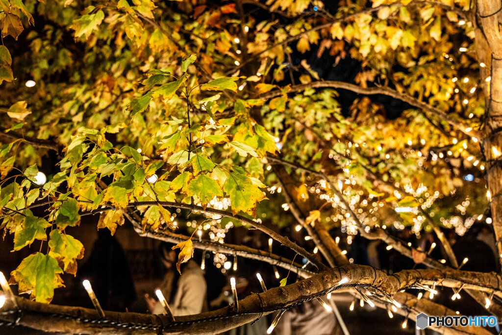 恵比寿ガーデンプレイスでスナップ9