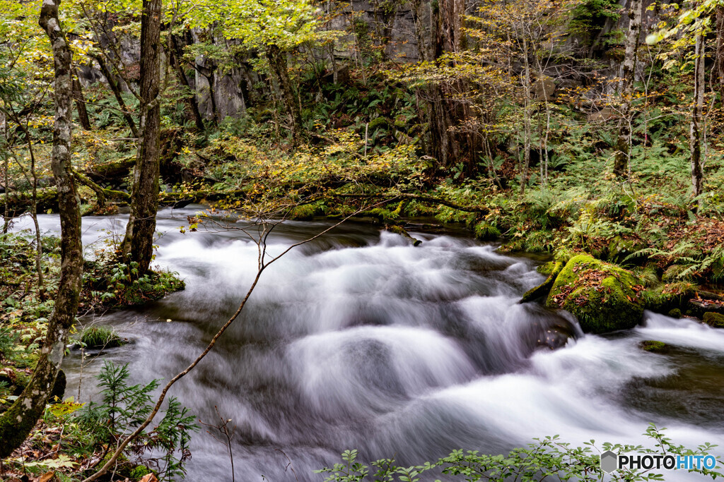 過去の写真から2（奥入瀬川）