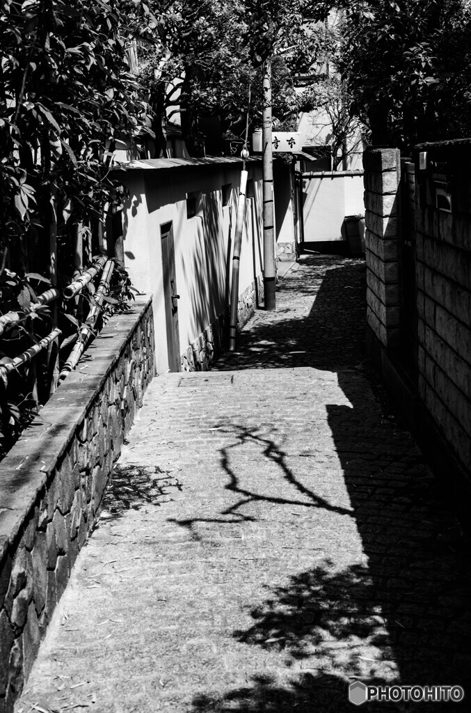 新宿の路地裏23