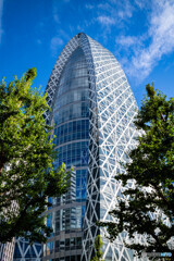 新宿　高層ビル1