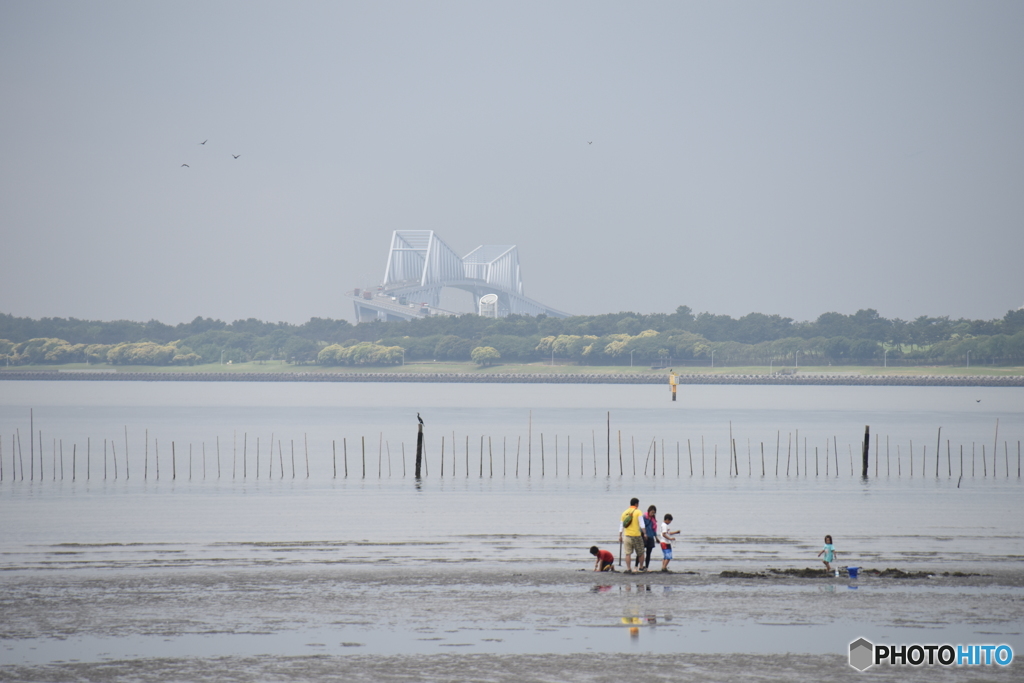 葛西海浜公園 潮干狩り