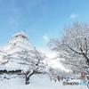 鶴ヶ城　雪景色２