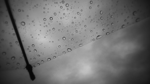 雨のした