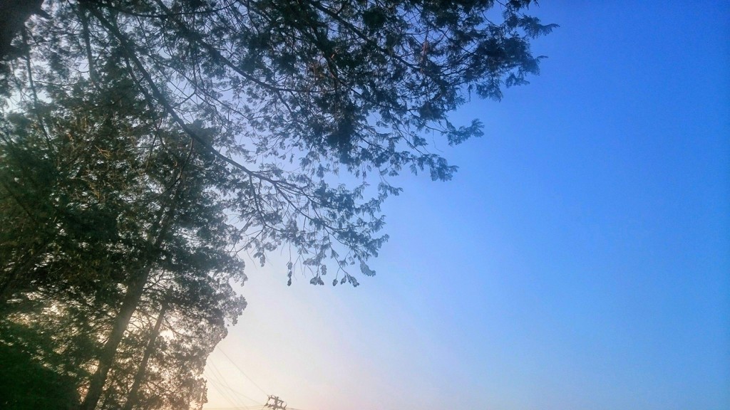 晴天