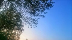 晴天