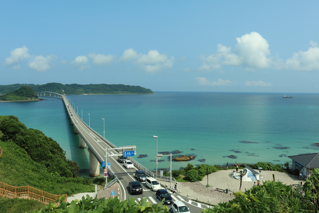 夏の海