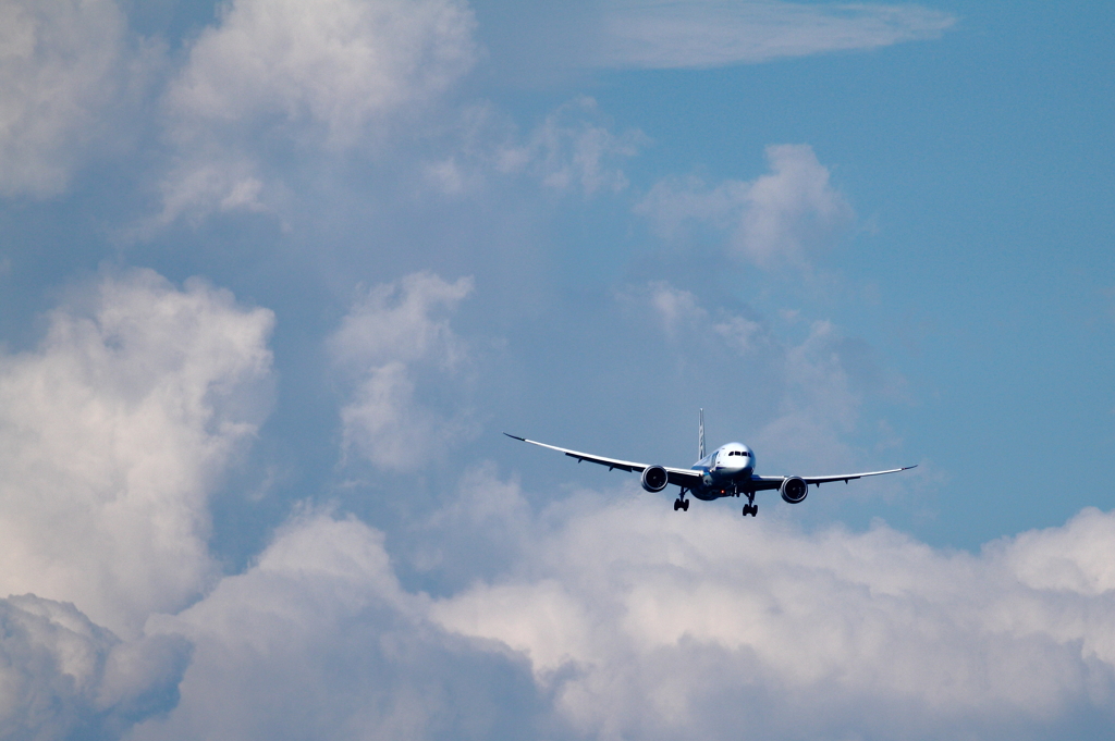 夏空より
