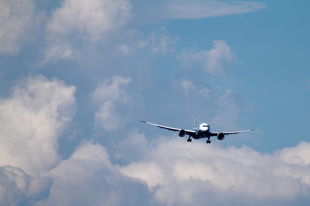 夏空より