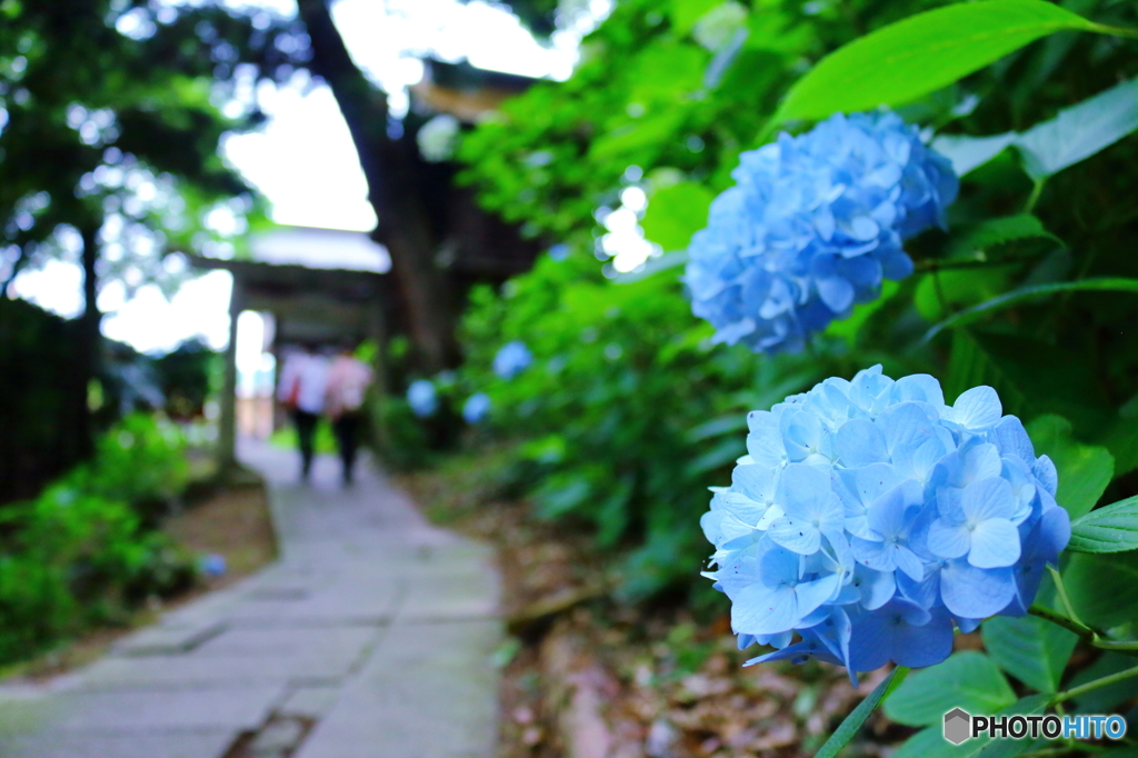 路地脇で