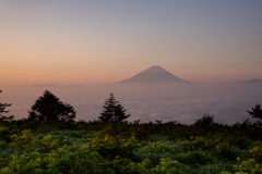 雲上の夜明け