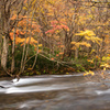 渓流の秋
