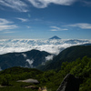 絹雲
