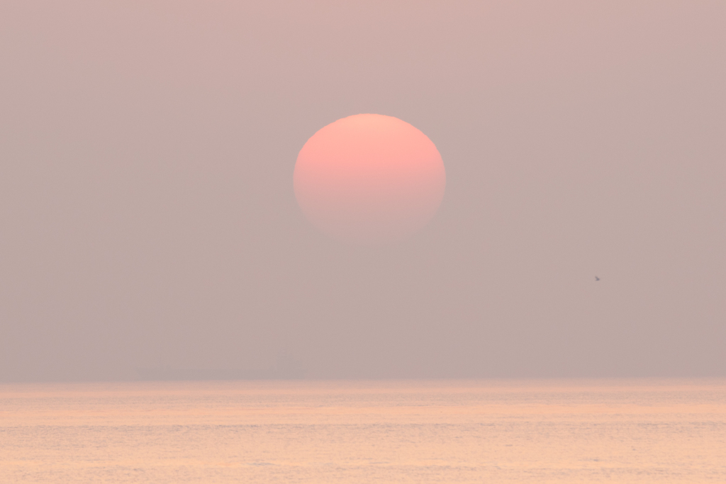 霧にむせぶ朝