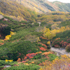箱庭風