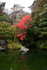 炎上