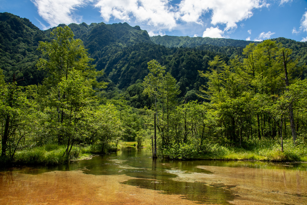 田代池