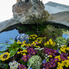 花手水