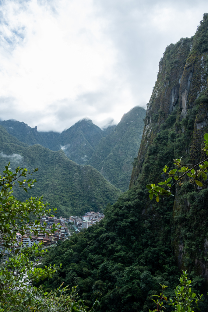 ジャングル奥地