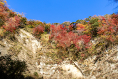 断崖に秋の彩り