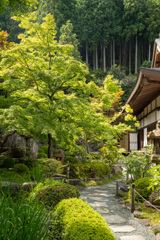 里山