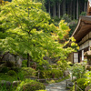 里山