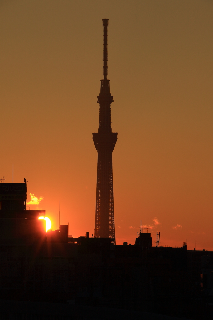 日の出～赤の世界