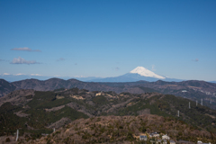 遥かに望む