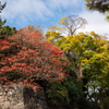 江戸城の秋