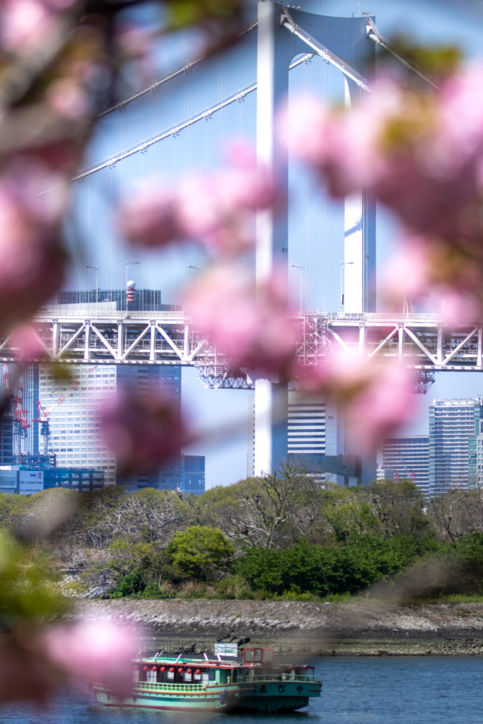 お台場の春