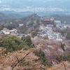 吉野中の千本③