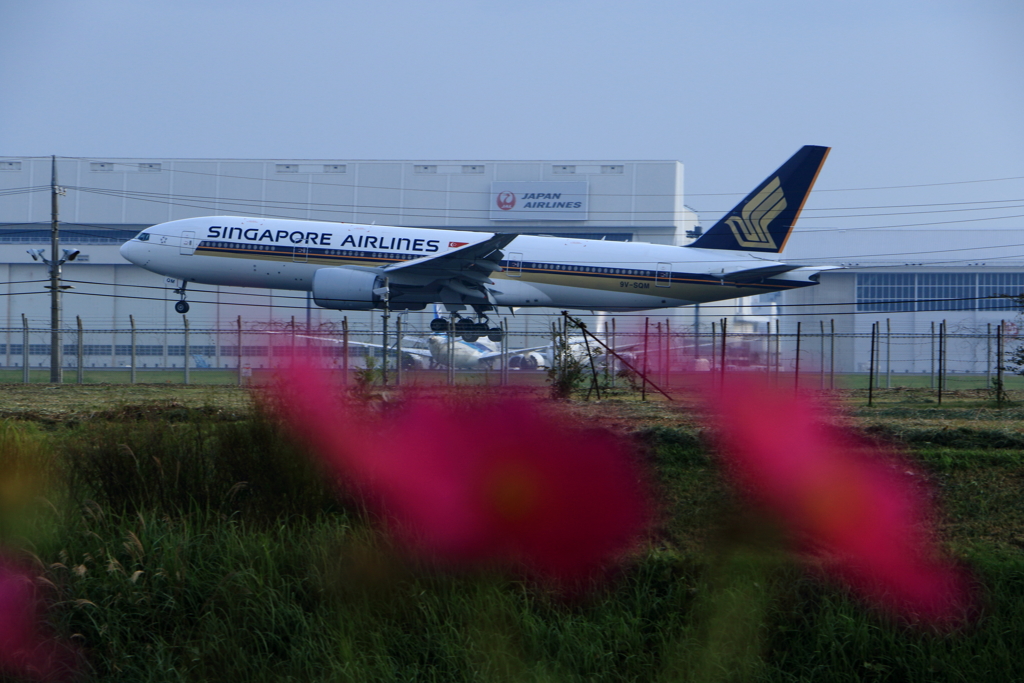 シンガポール航空
