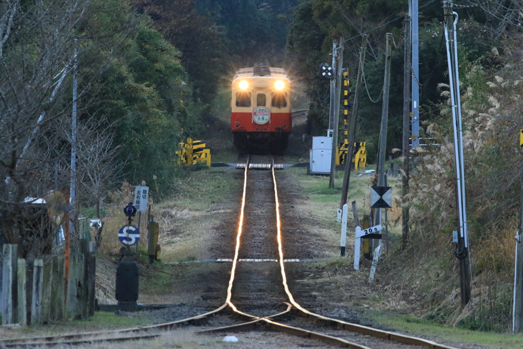 輝く未来