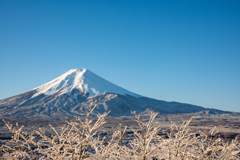 雪富士