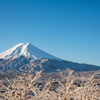 雪富士