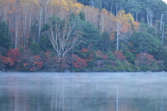 池霧