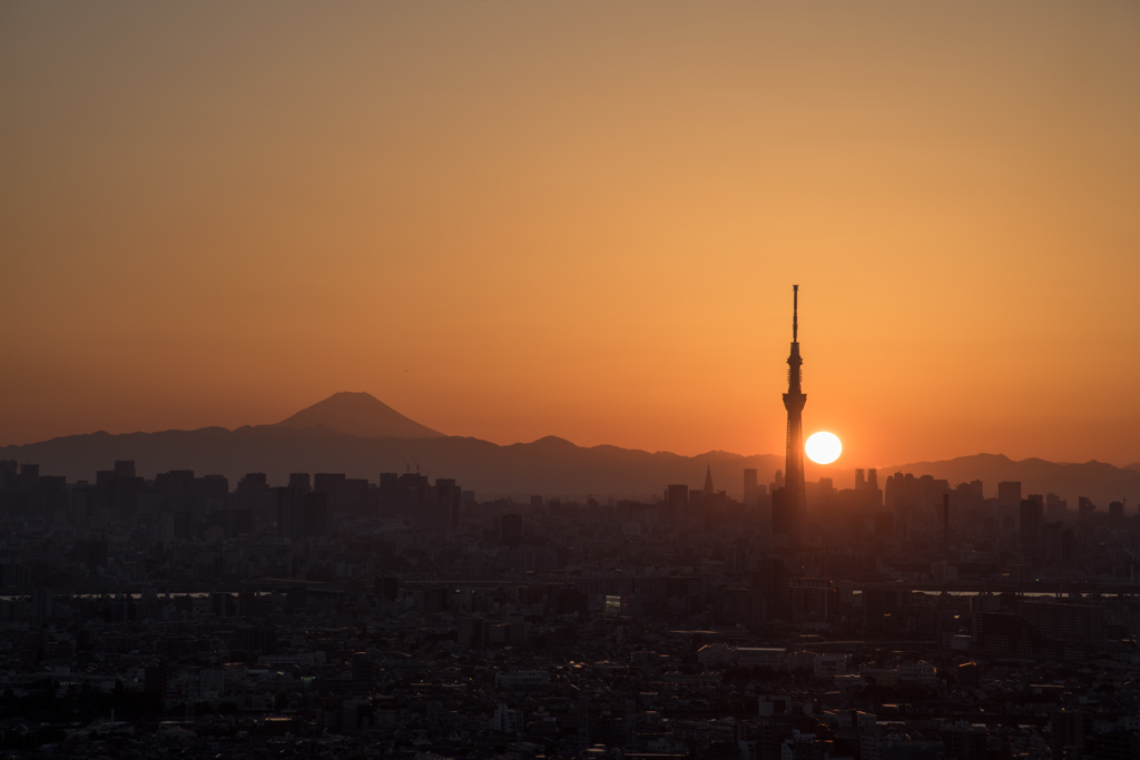 東京夕景