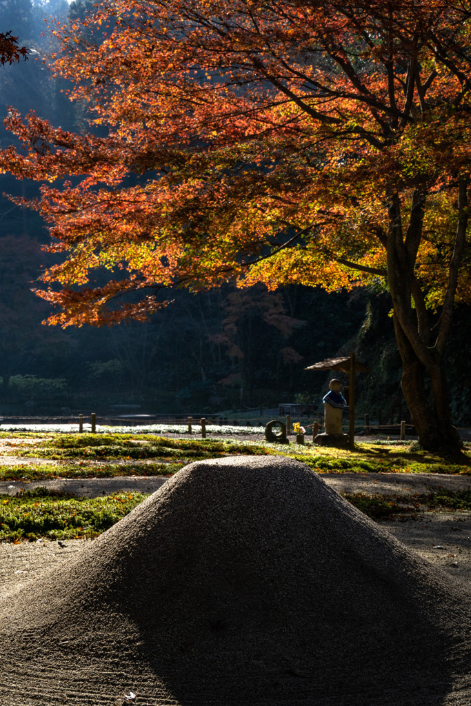 富士と紅葉