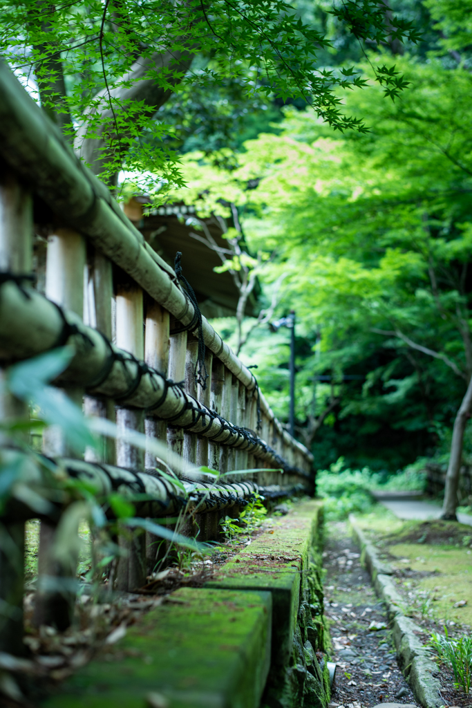 竹垣